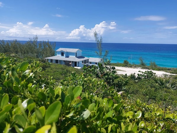 Vibrant landscape with stunning, panoramic ocean views