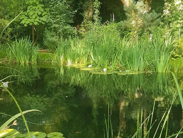 Boendeområde