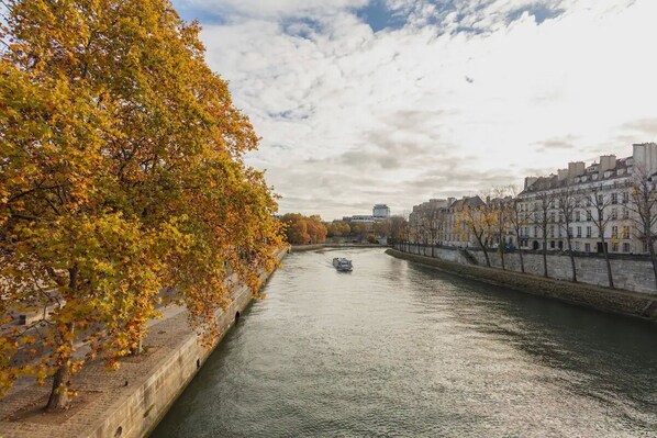 La Seine ( 150 meters from the apartment)
