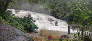 Near by Waterfall