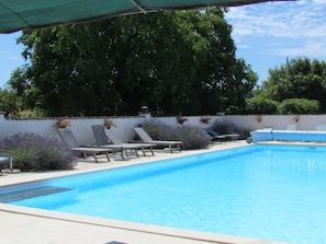 The outdoor heated pool available high season