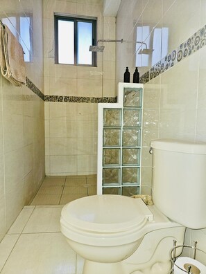 A walk-in shower with rainfall showerhead