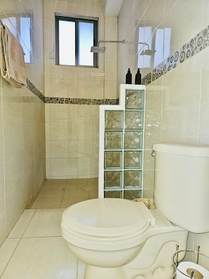 A walk-in shower with rainfall showerhead