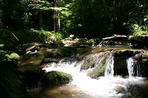 Roaring Creek