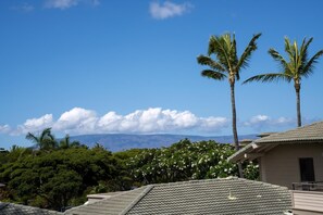 Vista da propriedade