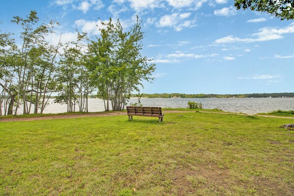 Lake Tanis View