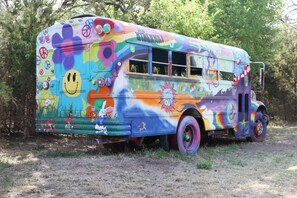 bus hidden in woods
