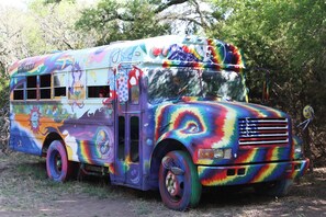 bus hidden in woods