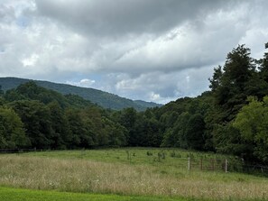 Summer view from Deck