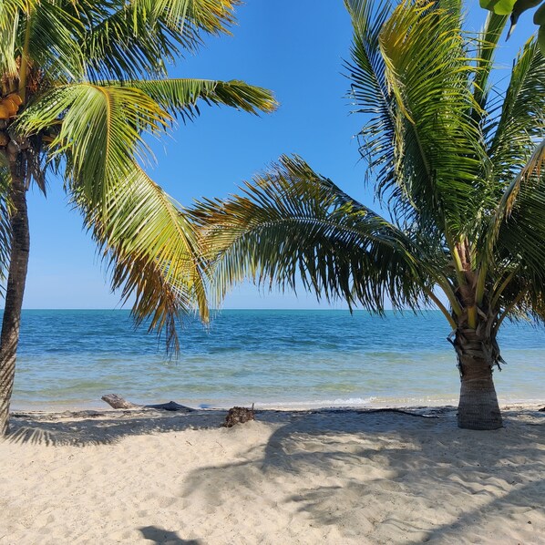 The Beach