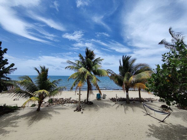 Beach (1)