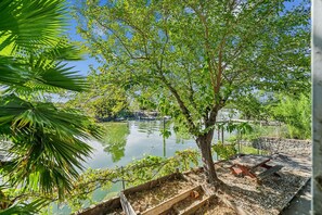 Nature, Outdoors, Scenery, Vegetation, Tree