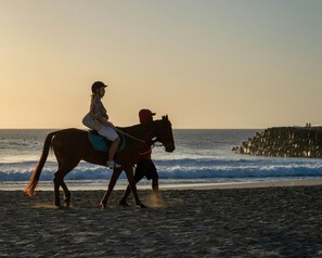 Favorite spot for horseback riding in the sunset.