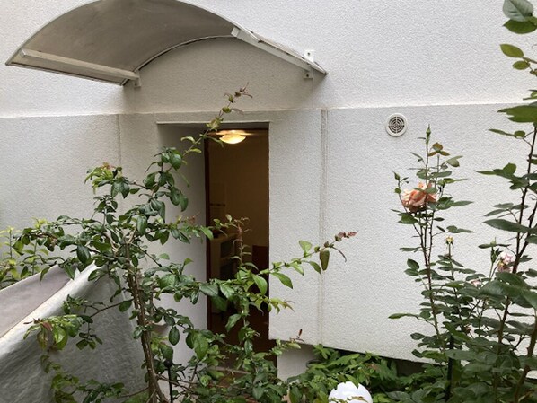 Exterior detail