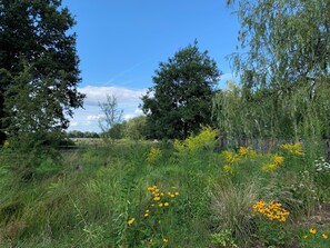 Boendeområde