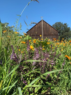Boendeområde