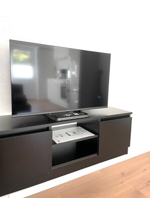 Television