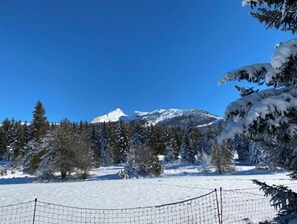 Deportes de invierno y ski