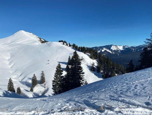Deportes de invierno y ski