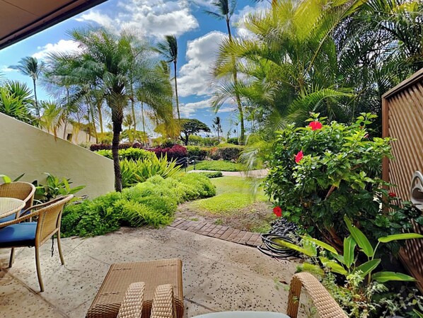 Back Patio Views