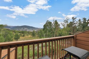 The View from One (of Two) Balconies