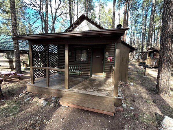 Cabin 9 Main