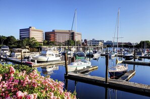 Stamford, CT