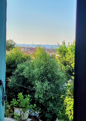 The view over the roofs, masts and to the sea