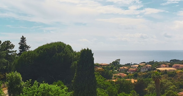 The view