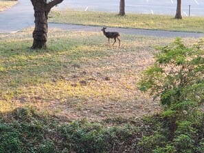 施設の敷地