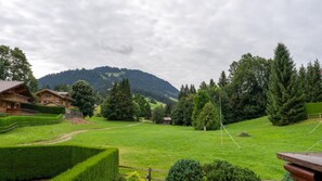 beautiful green views from the chalet 