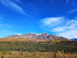 Mentasta Moutain View