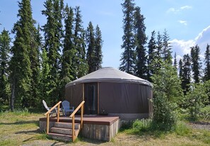 Front of Ursa