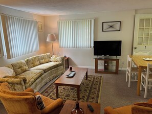 Living room sofa for 1 to sleep
