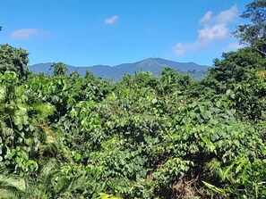 Wake to a superb mountain landscape, all from a birds eye view