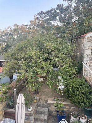 View of the garden from the balcony on second floor.