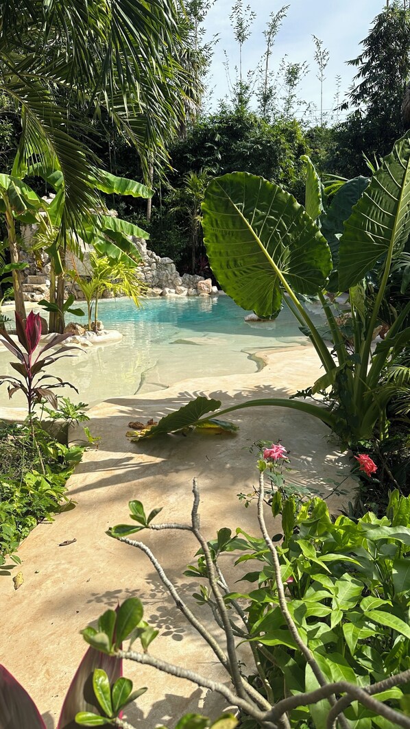 Cenote Pool Casa Yaxunah