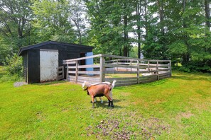Wooded Yard | On-Site Goats