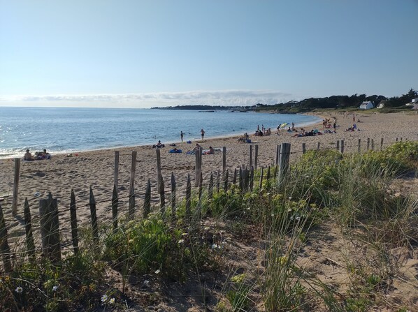 ビーチ