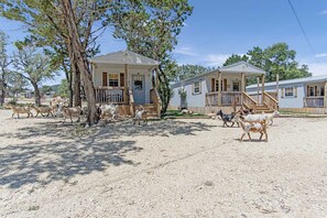 If you feel like a nice fresh-air stroll, there are also hiking trails at the Lucky Star Ranch.