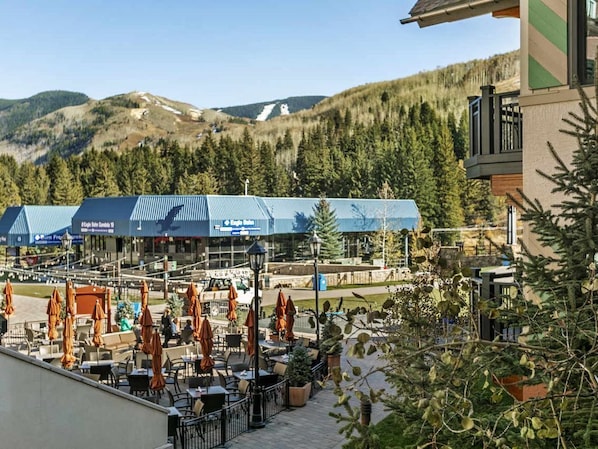 The Lion at Lionshead Village Vail