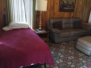Bonus twin in living room