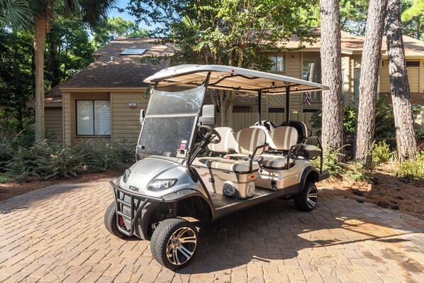 6 Seat Golf Cart Included
