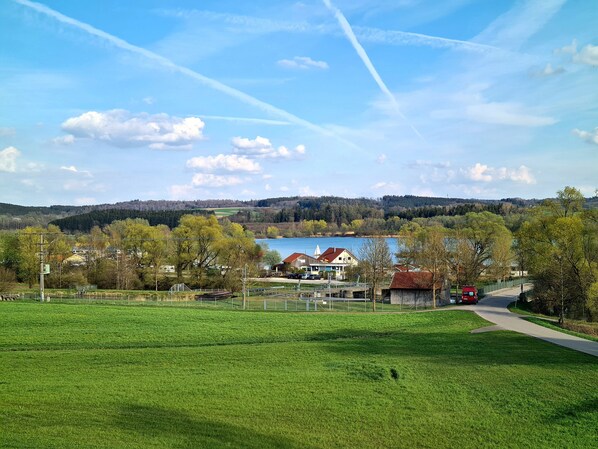 20220415_174456 (1)