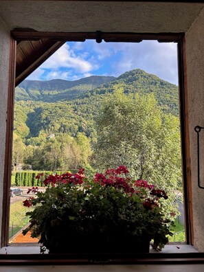 This is the view from all the windows and front balcony