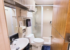 Bathroom with hot shower, bidet and fresh towels