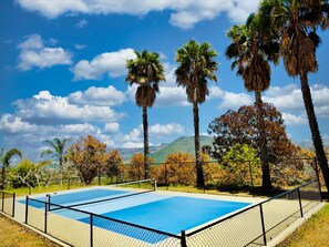 New pickleball court