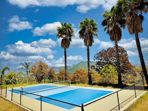 New pickleball court