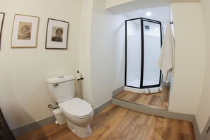 Basement Washroom