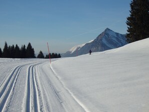 Snow and ski sports